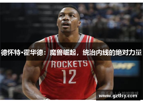 德怀特·霍华德:魔兽崛起,统治内线的绝对力量 德怀特·霍华德:魔兽崛起,统治内线的绝对力量