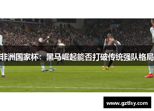 非洲国家杯:黑马崛起能否打破传统强队格局 非洲国家杯:黑马崛起能否打破传统强队格局