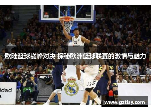 欧陆篮球巅峰对决 探秘欧洲篮球联赛的激情与魅力 欧陆篮球巅峰对决 探秘欧洲篮球联赛的激情与魅力